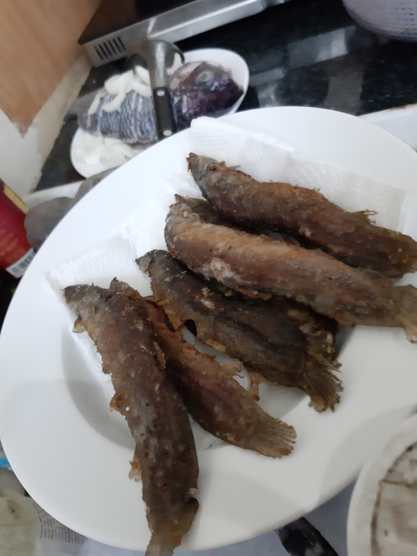 20190625-170602.jpg