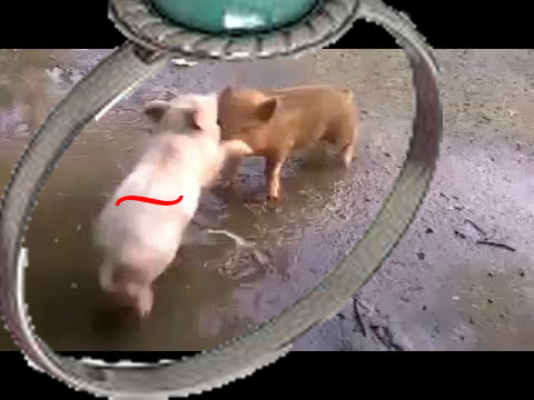 n3HAVfu.png