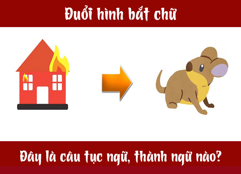chay-nha-1-16847402434991726274625.jpg