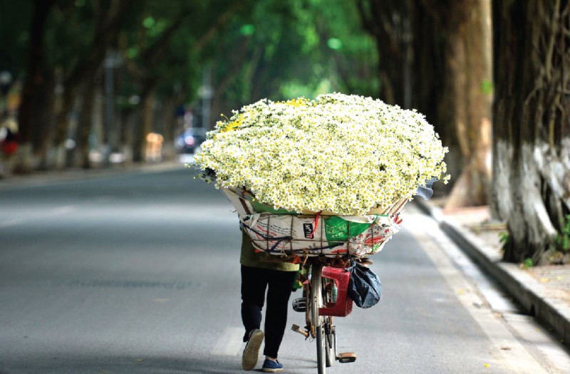 ha noi bon mua van vuong