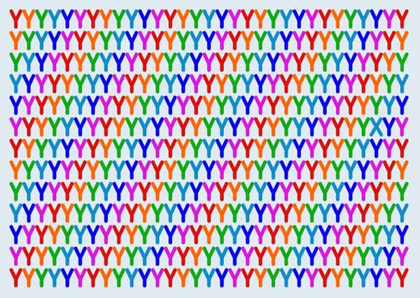 15-1667878768-35-width600height426.jpg