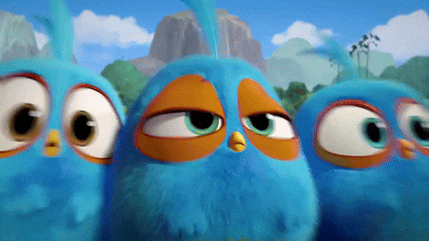 giphy.gif