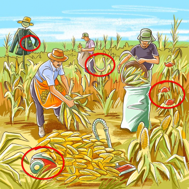 Thử tài tinh mắt: Tìm lỗi sai trong các bức tranh 8