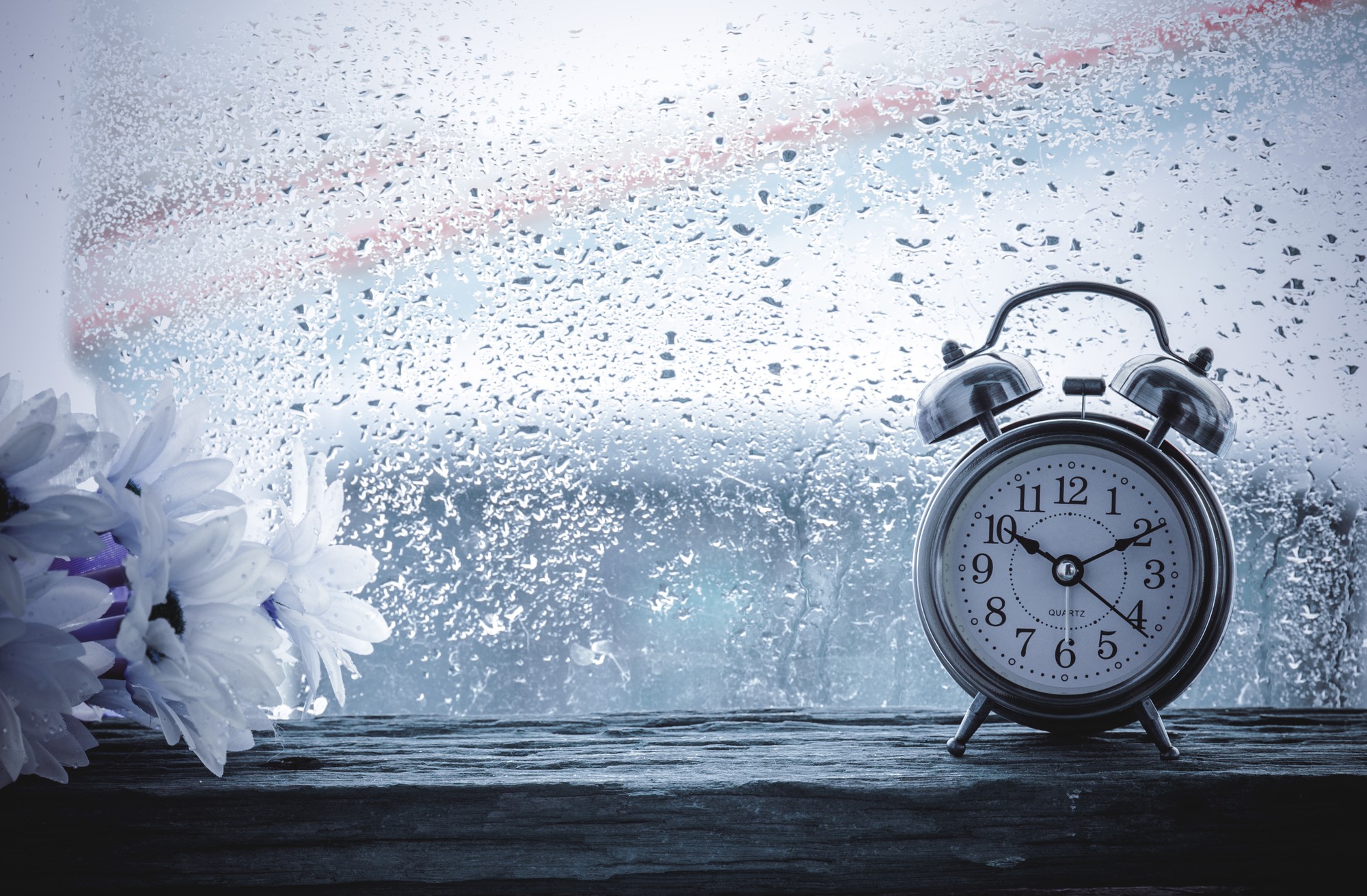 adobestock132107365-15319007733171827374085.jpeg