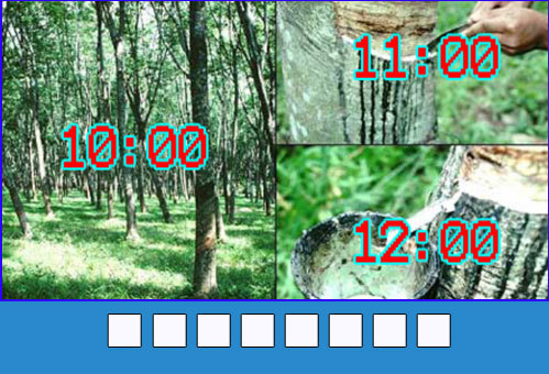 4-2547-1428828384_r_460x0.jpg