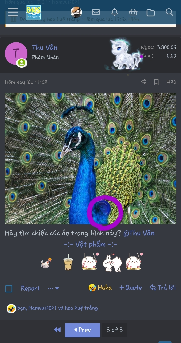 6HAGOhK.jpg