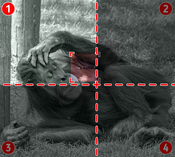 32a-1641366777-339-width600height537.jpg