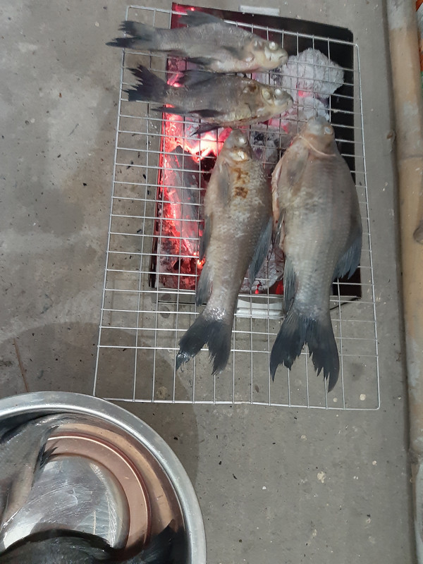 20190625-170540.jpg