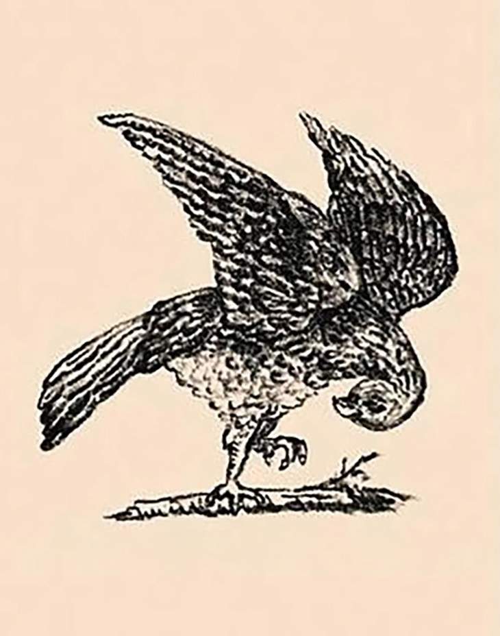 con-tho-1-170772264586653961090.jpg