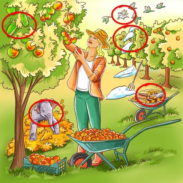 Câu đố: Tìm tất cả các chi tiết sai trong 5 bức tranh 7