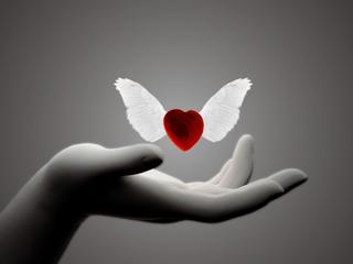 5-falling-love-782.jpg