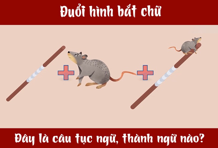chuot-1-17106325968801404181782.jpg