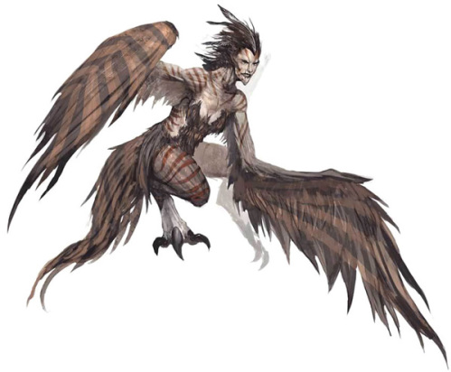 4harpies-130761-1372696023_500x0.jpg