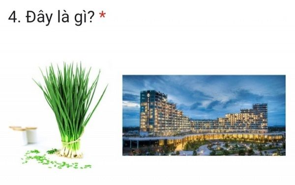 1693189539_lazi_674903.jpg
