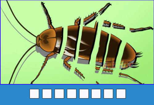4-5723-1431588390_r_460x0.jpg