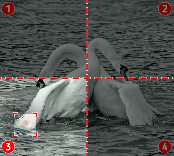 35a-1641366923-533-width600height537.jpg