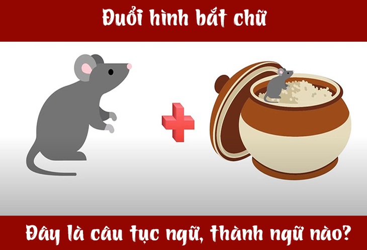 chuot-1-17047912572252142072136.jpg
