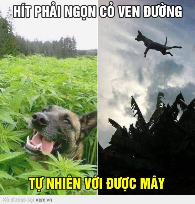 180c7b3760c91fc1260010992ad9cd9f.jpg