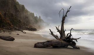kaspers_lonely_beach.jpg
