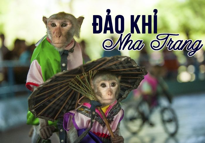 57231-dao-khi-nha-trang6-copy-700x491.jpg