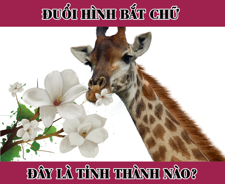 cau-2-16799898852651469858419.png