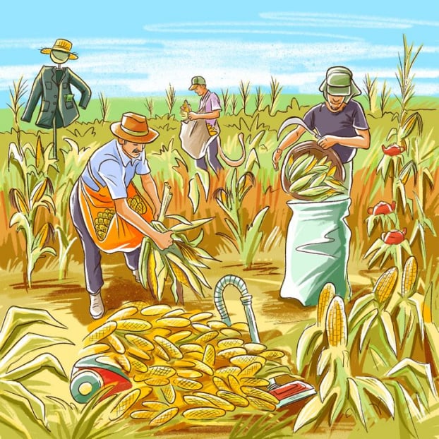 Thử tài tinh mắt: Tìm lỗi sai trong các bức tranh 3