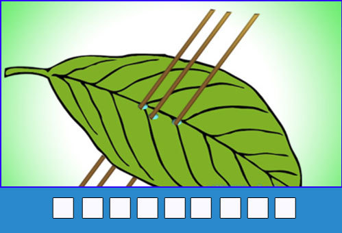1-3474-1427278674_r_460x0.jpg