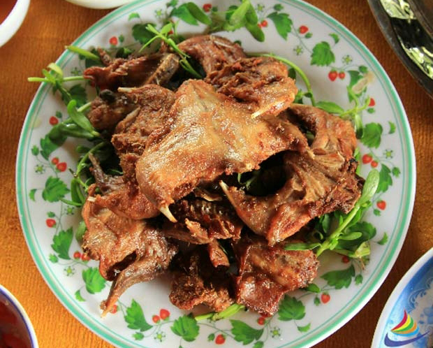 chuot-chien-sa-ot-248.jpg