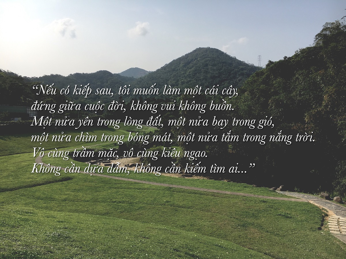 2019cc8bc2c3-81f3-4f14-98ef-a79a39bcd430.jpg