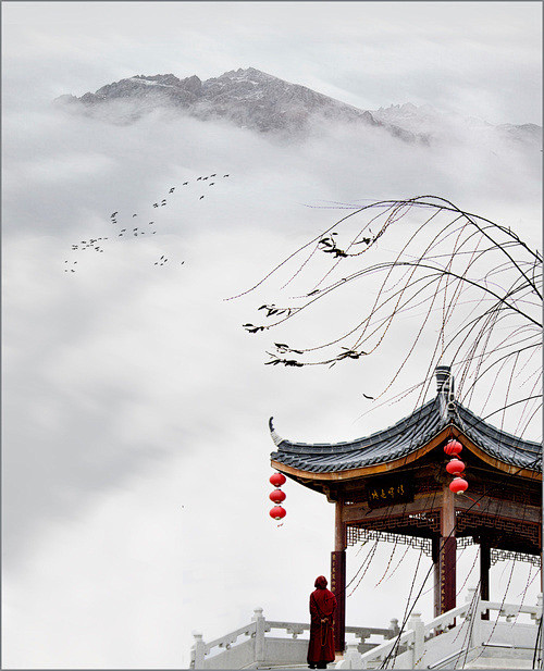 d55d36537bd5208f9f51ef4a0bf9f1d9923ee2e61cd81-f3wc0K_fw658