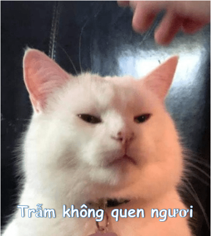 20200e491e27-53f6-457a-bbe5-ed192872b3c0.png