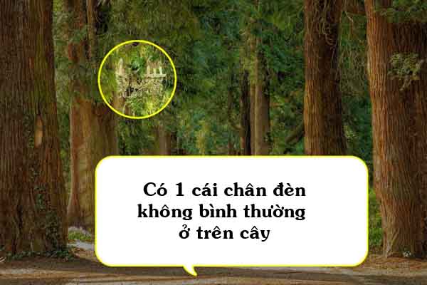 5a-1666586856-269-width600height400.jpg