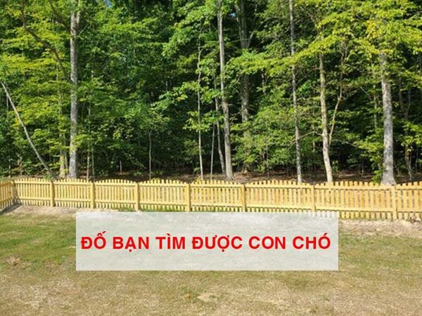 34-1669611430-340-width600height450.jpg