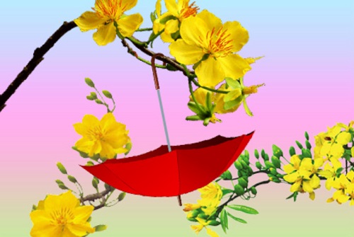 1466613268_o-mai.jpg