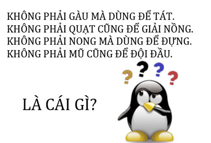 cau-4-17003498284911494702303.jpg