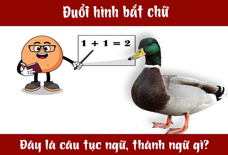 cau-1-17085552182442134596417.jpg