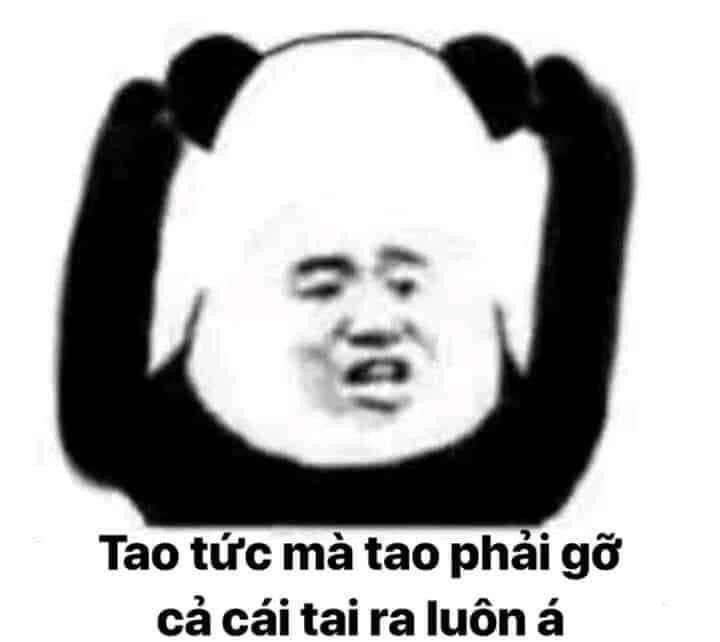 92698828-246021170135463-6598542674150555648-n.jpg