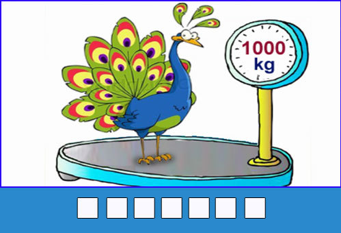 7-3499-1425956858_r_460x0.jpg