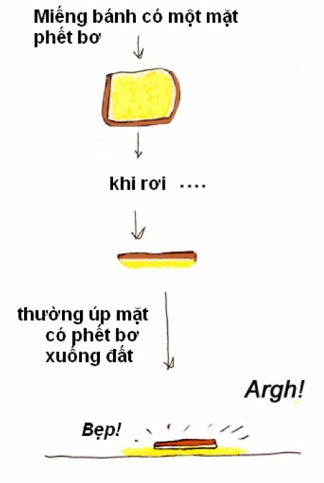 8111c-dinhluatbanhbo1.jpg