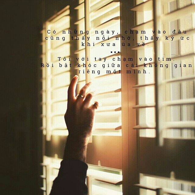 tumblr_nu9jab3IRK1srxvl0o1_640.jpg