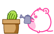 12.gif