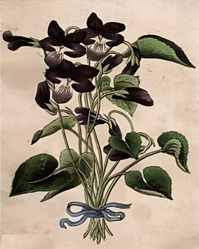 khuon-mat-1-1697447145770654300416.png