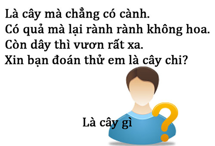 cau-3-1698275083061340922252.jpg