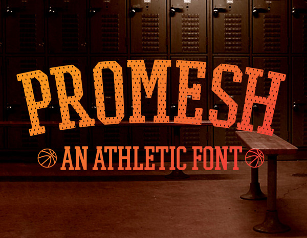 promesh.jpg