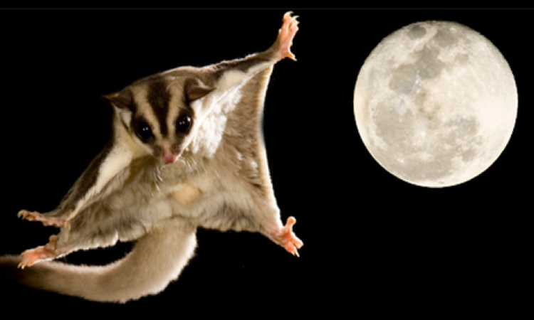 Untitled2-1660101683-2177-1660101690_r_380x228.png
