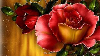 8d723e8dedc0a0dc1878048888b7de44-gif.jpg