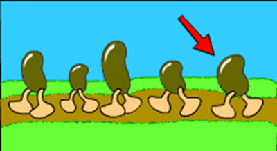 1518003937_3.png