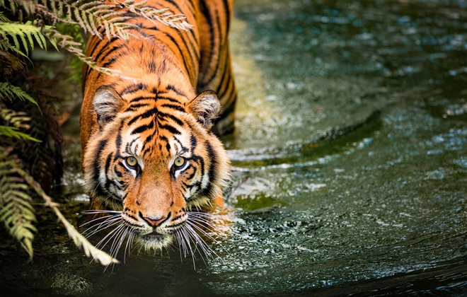 istock-871661426-1575432794196208194579.jpg