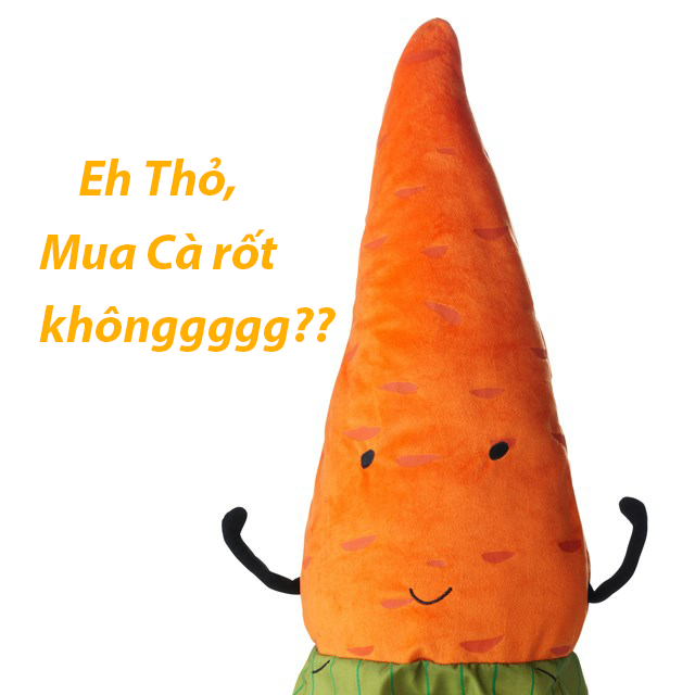 FZXGvD6.png