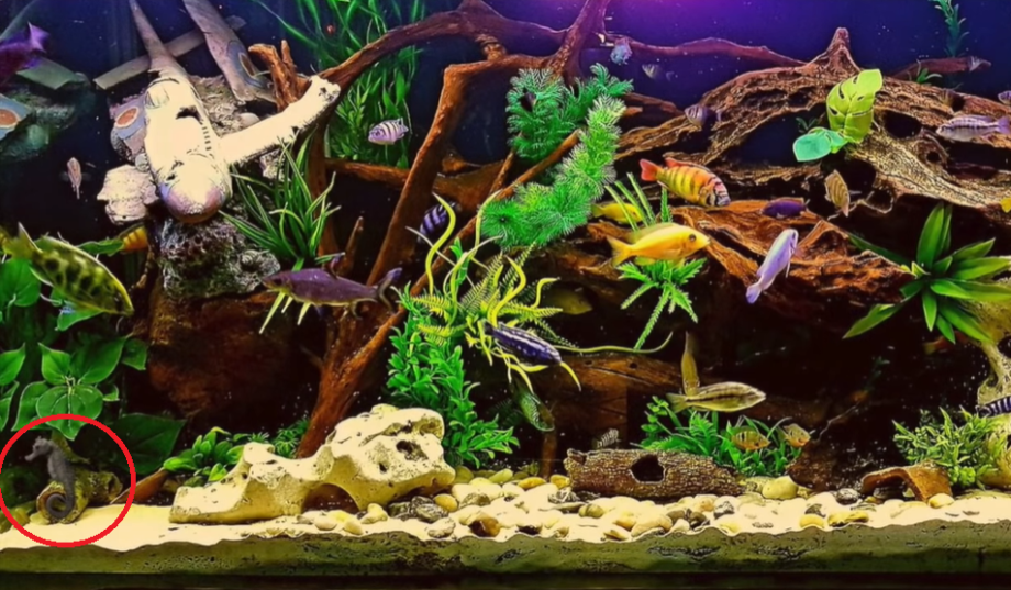Screenshot-978-1592-1655717022_r_460x0.png